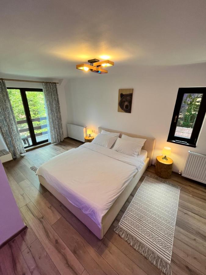 Cabana Din Padure Hotel Porumbacu de Sus Buitenkant foto