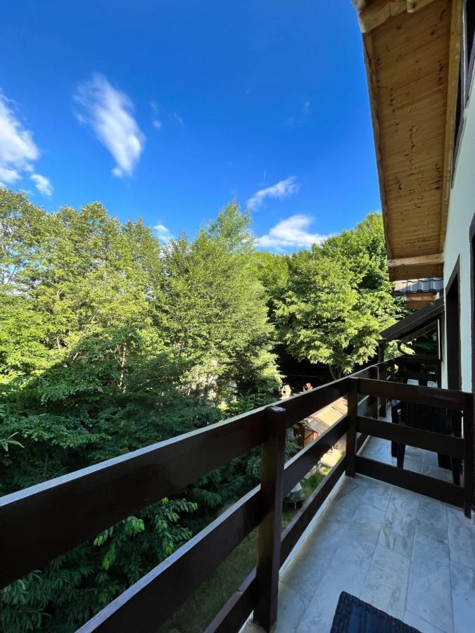Cabana Din Padure Hotel Porumbacu de Sus Buitenkant foto